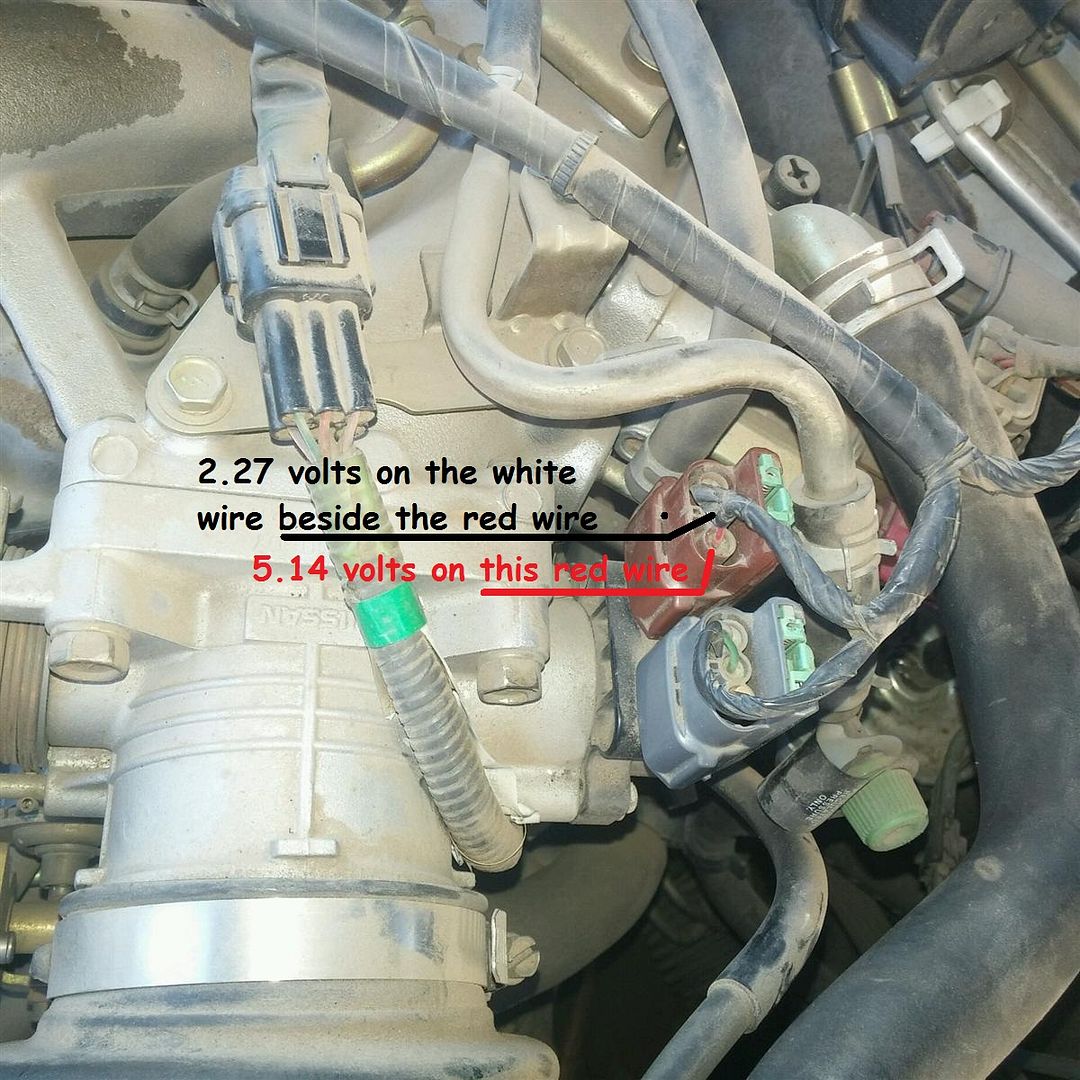 1999 Maxima Knock Sensor Input Voltage Question Nissan Forum Nissan